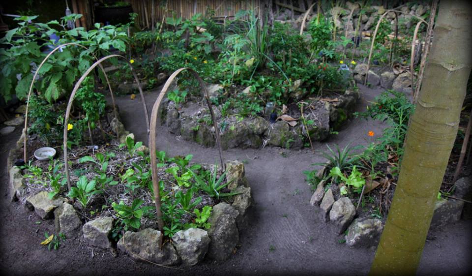 An edible mandala garden at Nitiprayan after three months. This garden now supports the family who owns the land and is even used by neighbours- Paul Daley 06