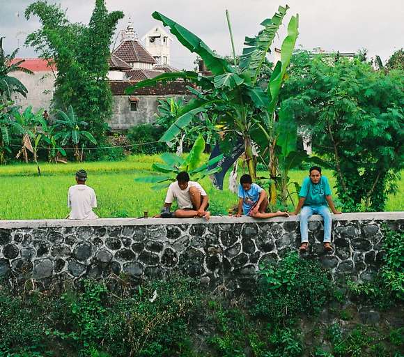 toumbourou09.jpg toumbourou09.jpg